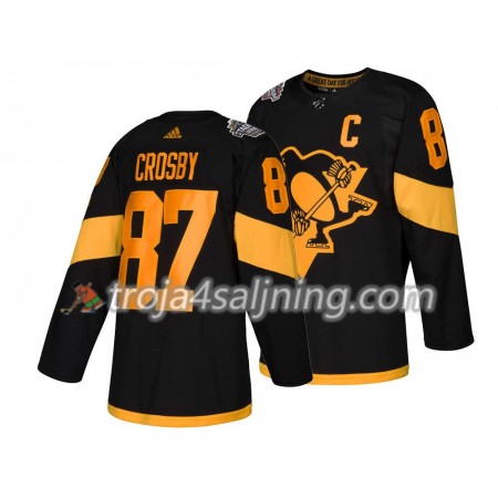 Pittsburgh Penguins tröja Sidney Crosby 87 Adidas 2019 Stadium Series Authentic - NHL Tröjor Herr